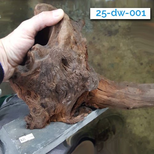 Mounted Driftwood - Image 3