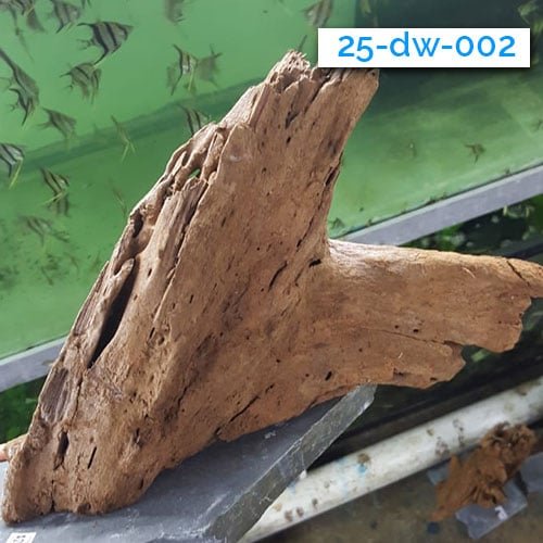 Mounted Driftwood - Image 4