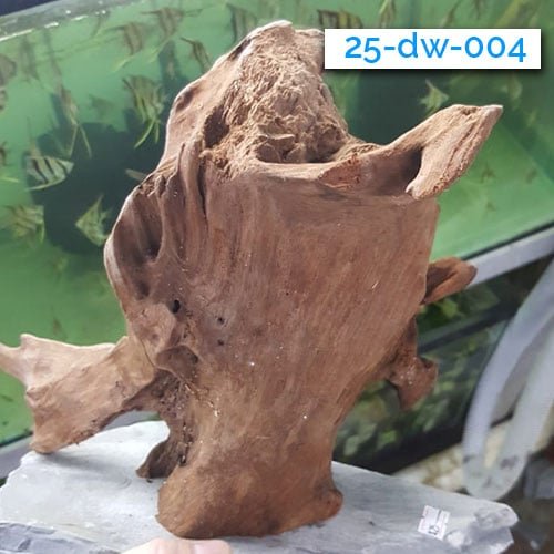 Mounted Driftwood - Image 7