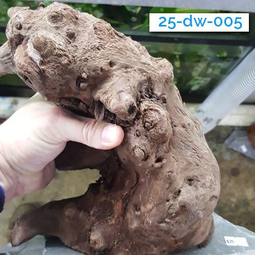 Mounted Driftwood - Image 8