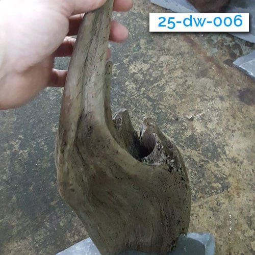 Mounted Driftwood - Image 5