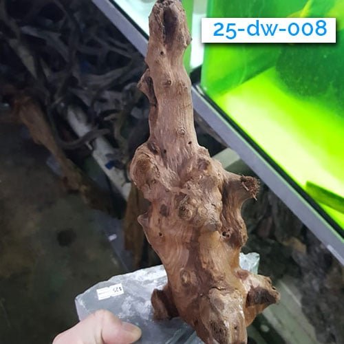 Mounted Driftwood - Image 6