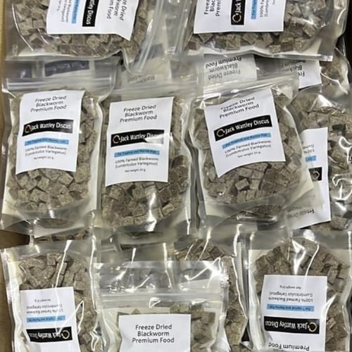 Freeze Dried Blackworms - Image 4