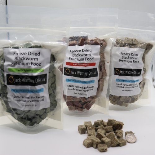 Freeze Dried Blackworms - Image 2
