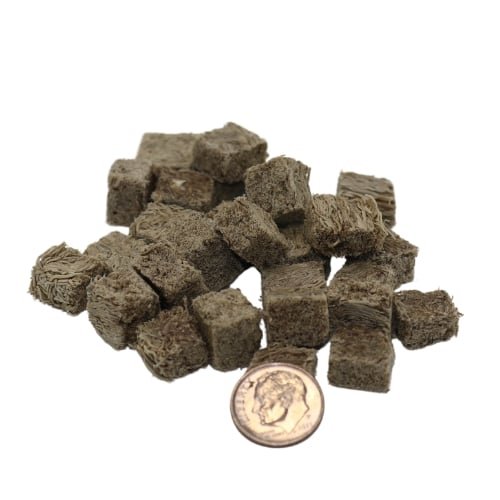 Freeze Dried Blackworms
